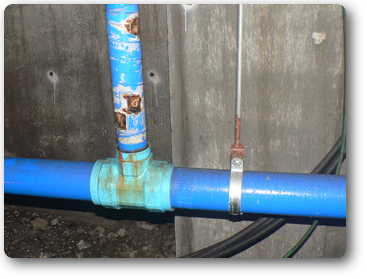 kyuusuikan.husyoku.web.png kyuusuikan.husyoku.web.png