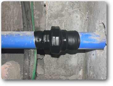 kyuusuiyunion.butiru.web.png kyuusuiyunion.butiru.web.png