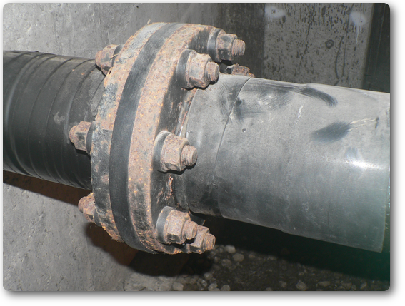 s_P1010637_1.png s_P1010637_1.png